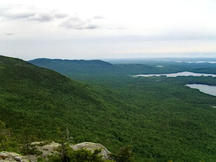 Barren Mt