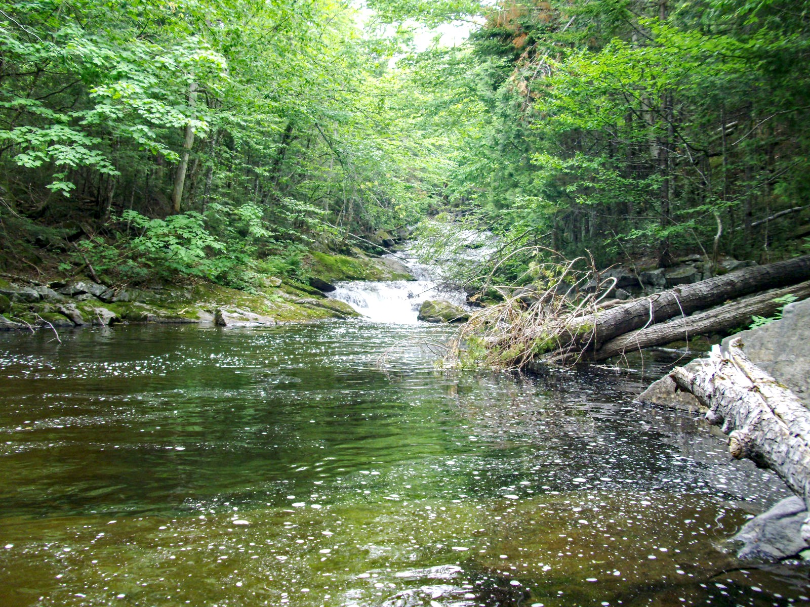 Cooper Brook Falls — the swimming hole that earns its reputation