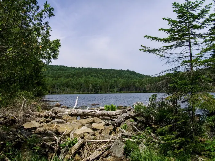 Crawford Pond