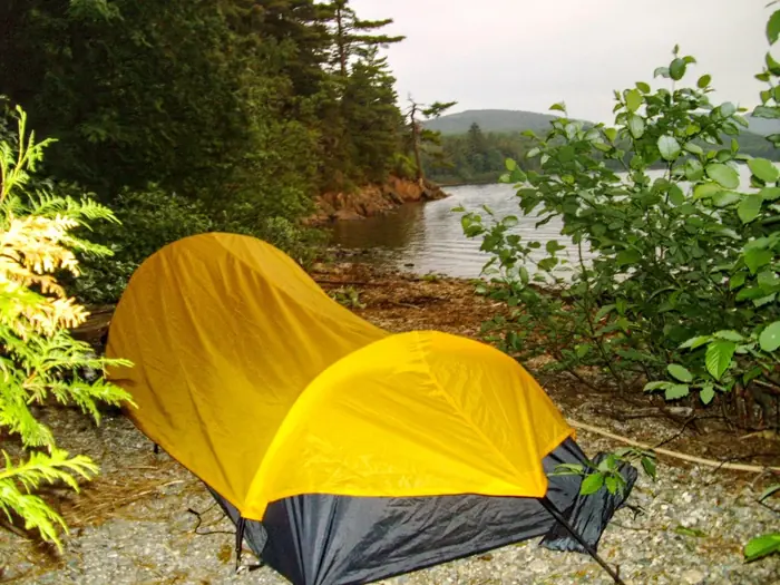 Home On The Trail