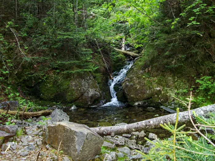 Logan Brook