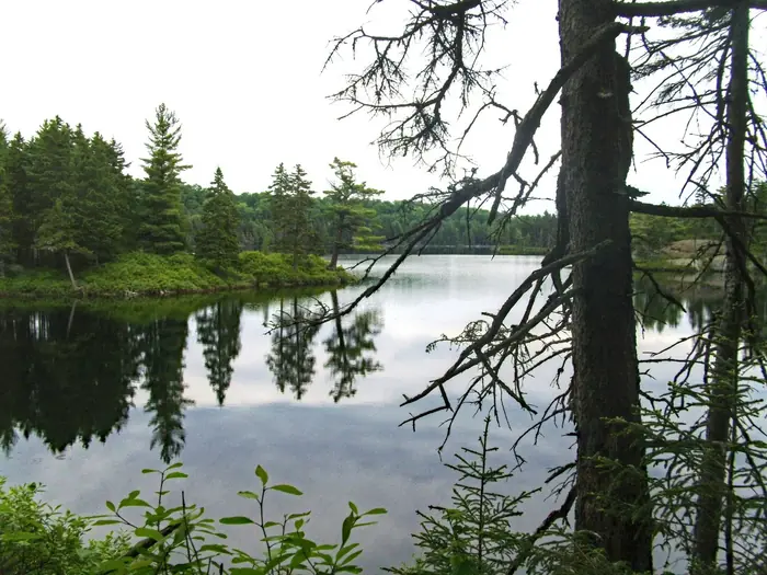 On The Way To Wilson Falls