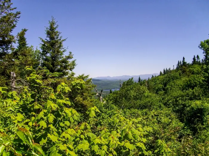Peak Of A View