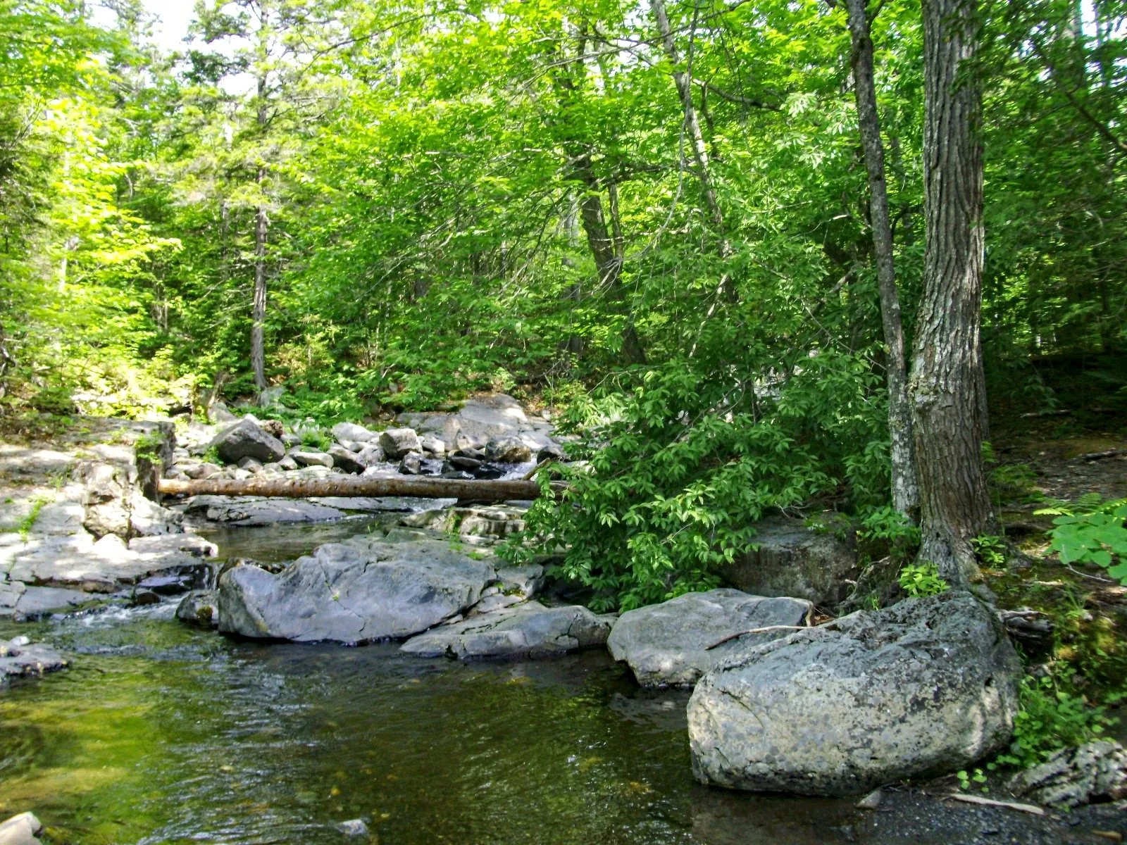 River crossing in the 100 Mile Wilderness — trekking poles essential in high water