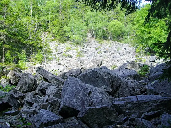 The Slide