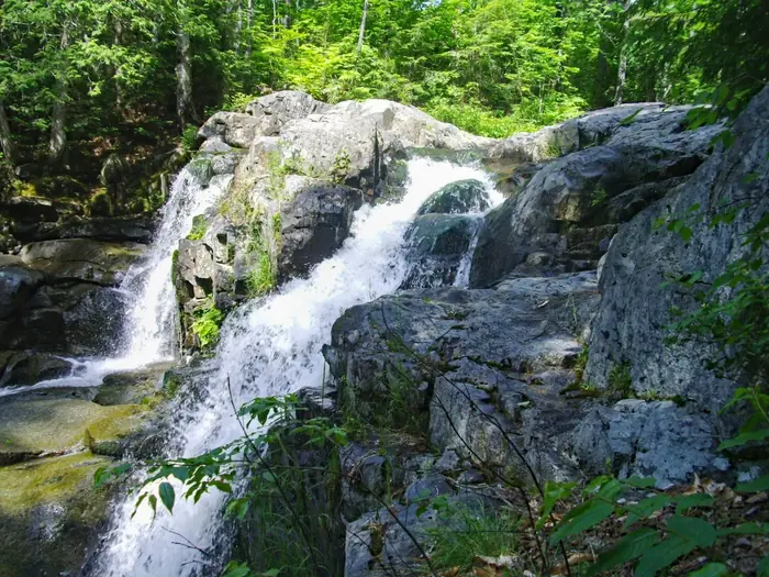 Waterfall On The Way