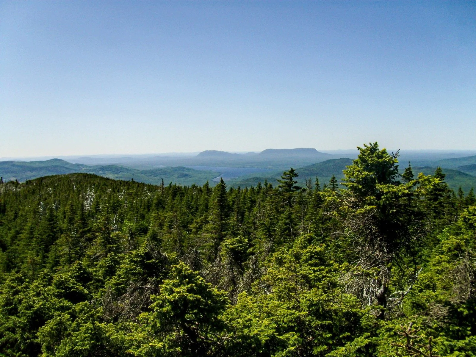 View north from White Cap — Katahdin visible on the horizon, sixty miles away