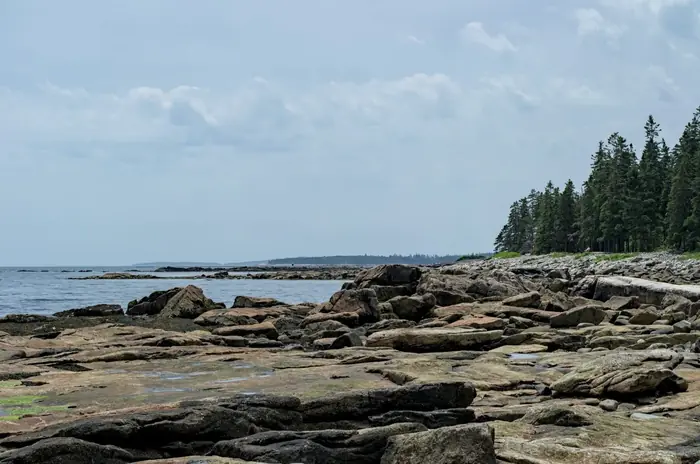 Acadia Shoreline Low Tide