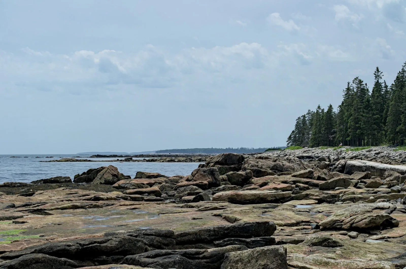Rocky Acadia shoreline at low tide along the western side of Mount Desert Island