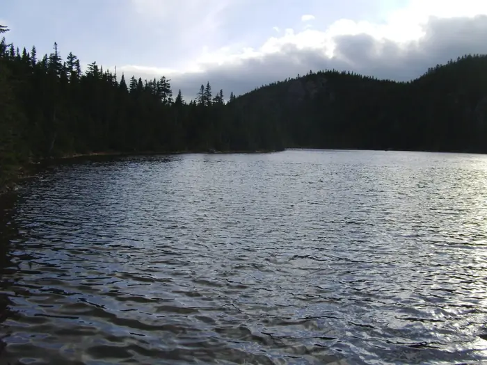 Horns Pond Backcountry