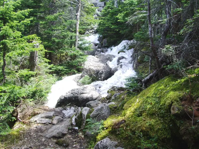 Snowy Trail Spring Approach