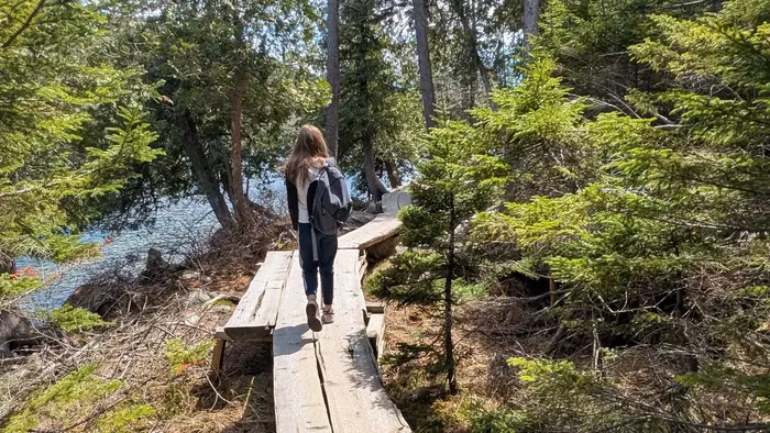 Shoreline Plank Walk