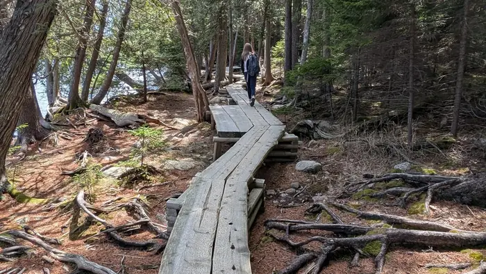 The Boarwalk