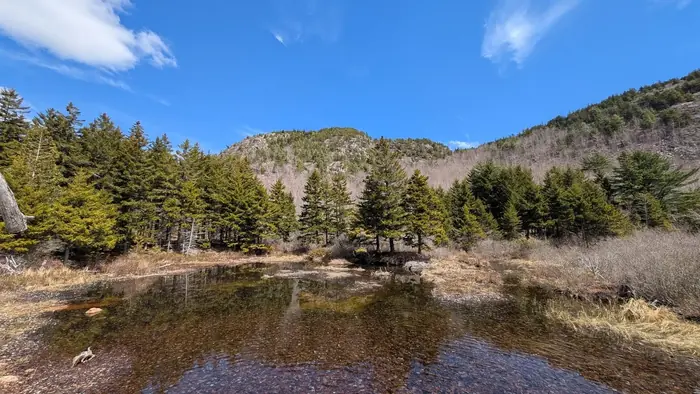 The Inlet