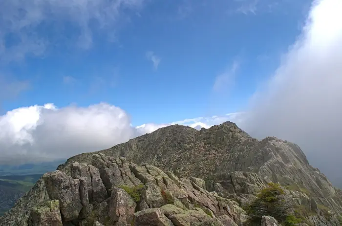 Knife Edge 2